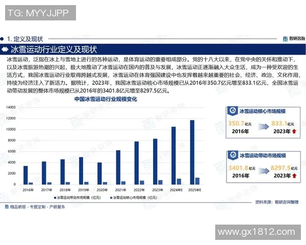中国体育运动品牌在全球市场中的体育营销策略与发展趋势研究