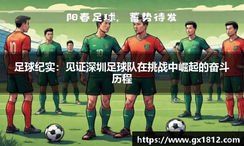 足球纪实：见证深圳足球队在挑战中崛起的奋斗历程